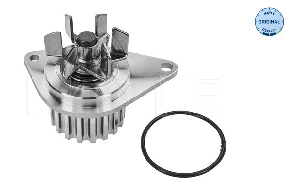MEYLE 11-13 220 0003 Water Pump, engine cooling
