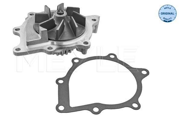 MEYLE 11-13 220 0021 Water Pump, engine cooling