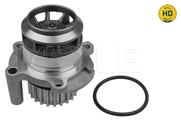 MEYLE 113 220 0011/HD Water Pump, engine cooling