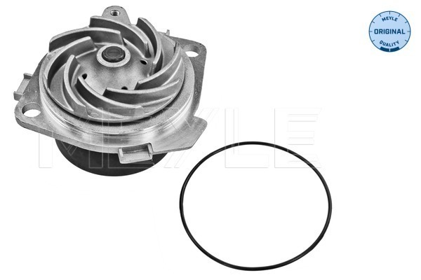 MEYLE 15-13 060 0001 Water Pump, engine cooling
