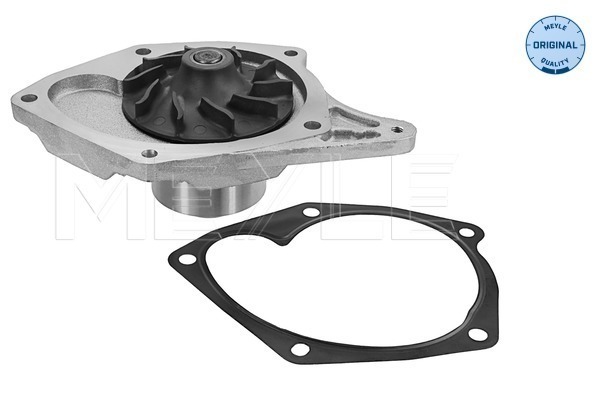 MEYLE 16-13 220 0015 Water Pump, engine cooling