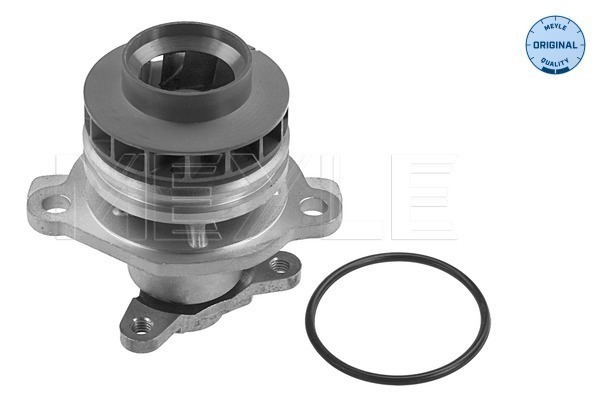 MEYLE 16-13 220 0020 Water Pump, engine cooling