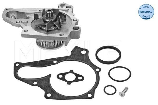 MEYLE 30-13 161 0012 Water Pump, engine cooling