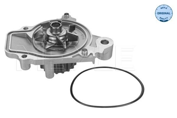 MEYLE 31-13 192 0001 Water Pump, engine cooling