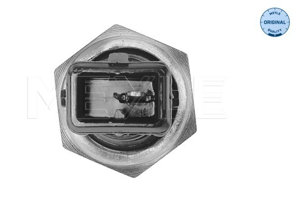 fs_3141261101_2
