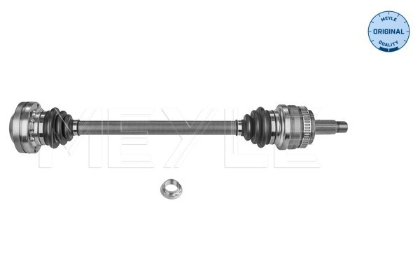 fs_3144980025_1