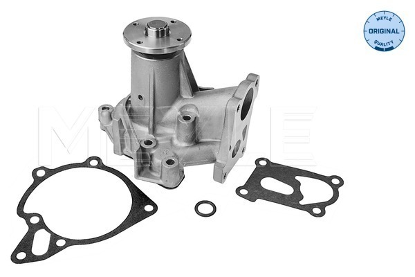MEYLE 32-13 220 0005 Water Pump, engine cooling