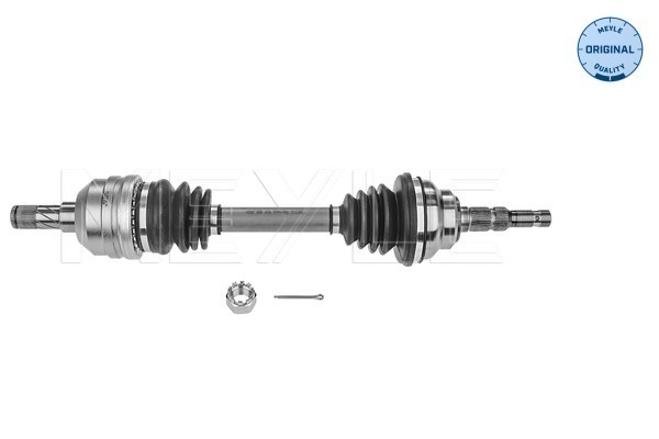 fs_6144980033_1