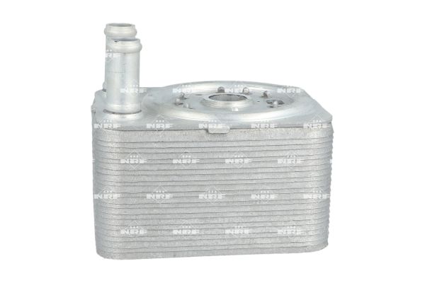 31168_1500x1000_wm_004