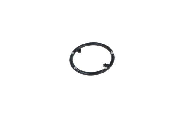 31168_1500x1000_wm_ef