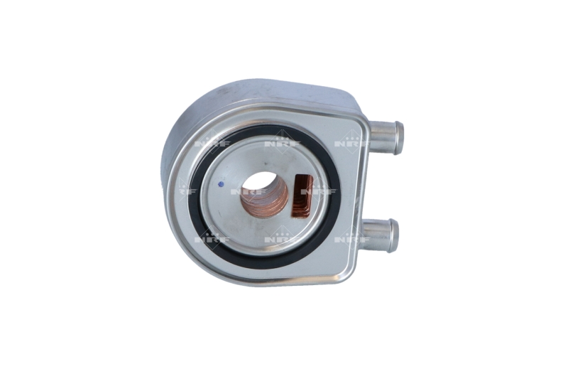 31247_1500x1000_wm_001