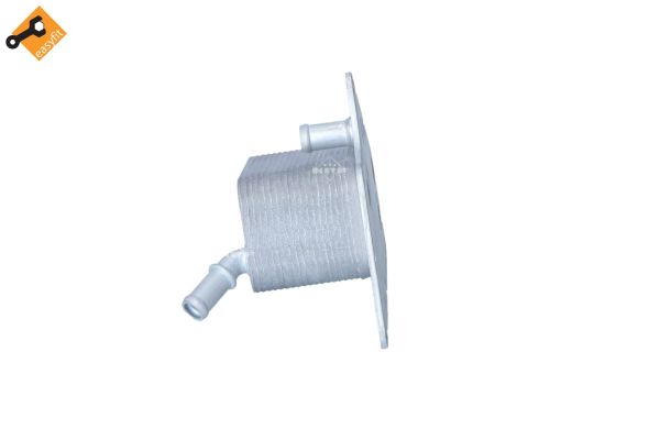 31258_1500x1000_wm_002