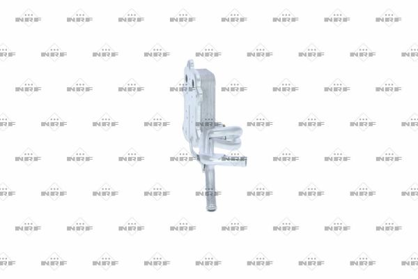 31261_1500x1000_wm_004