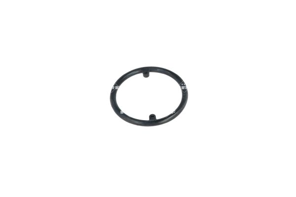 31306_1500x1000_wm_ef