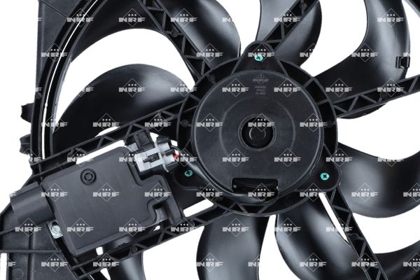 470112_1500x1000_wm_005