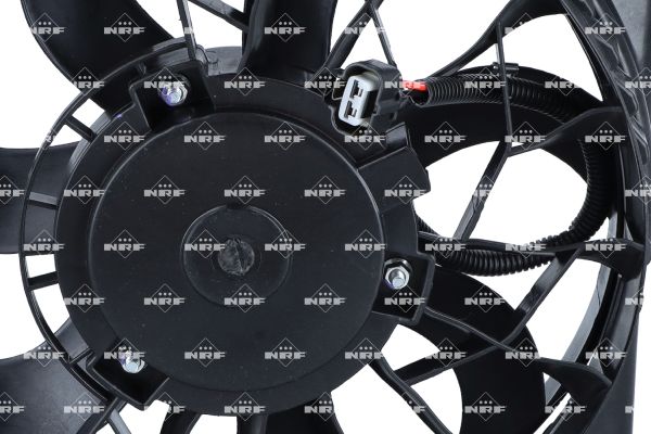 470165_1500x1000_wm_005