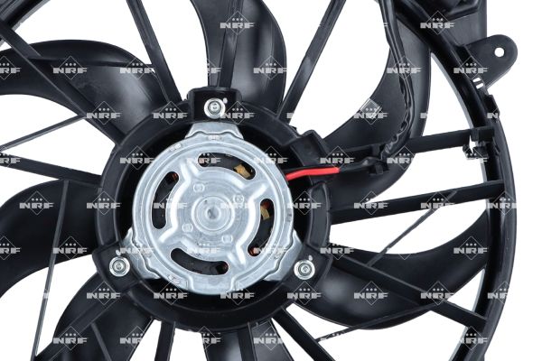 47308_1500x1000_wm_005