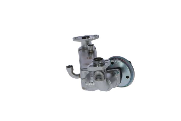 48365_1500x1000_wm_004