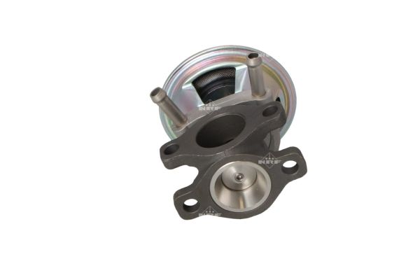 48393_1500x1000_wm_002