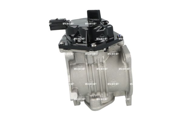 48664_1500x1000_wm_002