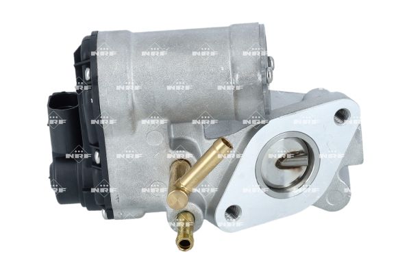 48697_1500x1000_wm_001