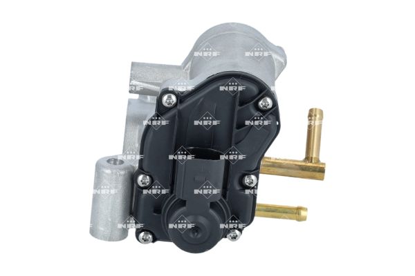 48697_1500x1000_wm_004