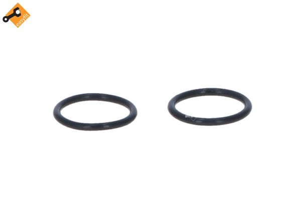 53404_1500x1000_wm_ef