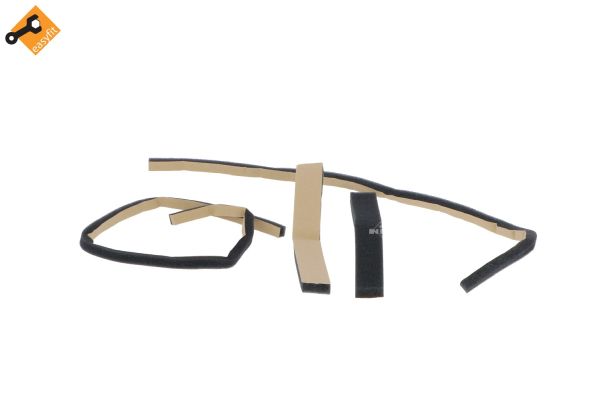 54352_1500x1000_wm_ef