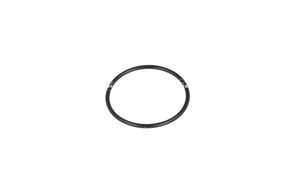 725075_1500x1000_wm_ef