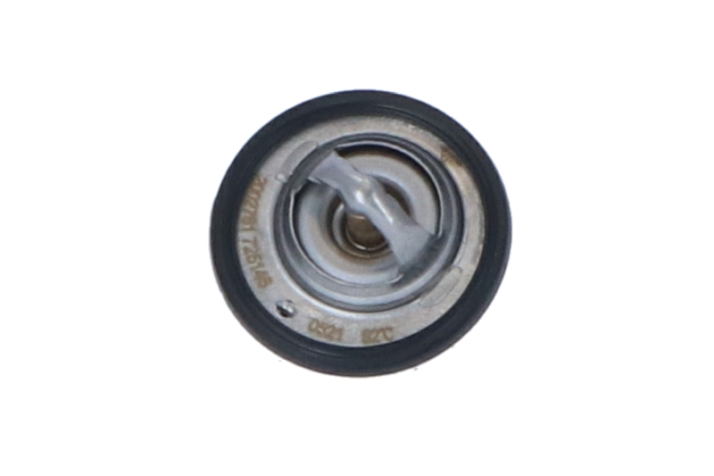 725146_1500x1000_wm_001