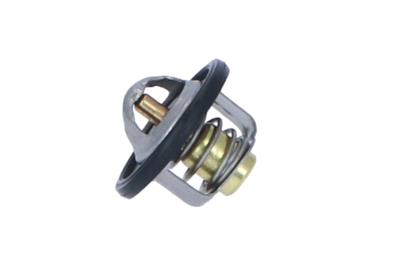 725146_1500x1000_wm_003