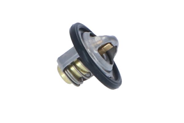 725146_1500x1000_wm_004