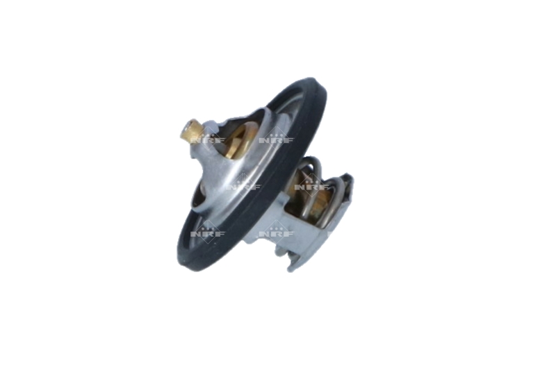 725149_1500x1000_wm_003