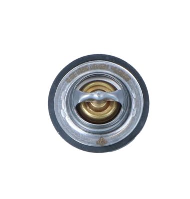 725151_1500x1000_wm_ef