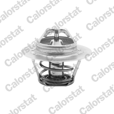 CALORSTAT by Vernet TH5955.88J Thermostat, coolant