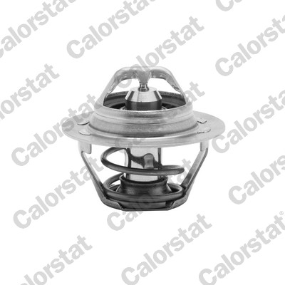 CALORSTAT by Vernet TH6047.89J Thermostat, coolant