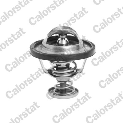 CALORSTAT by Vernet TH6295.76J Thermostat, coolant