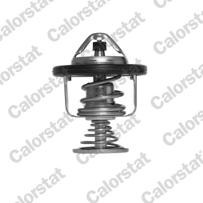 CALORSTAT by Vernet TH6876.80J Thermostat, coolant