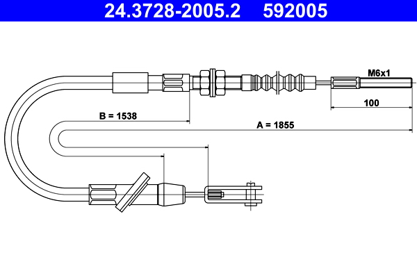 592005