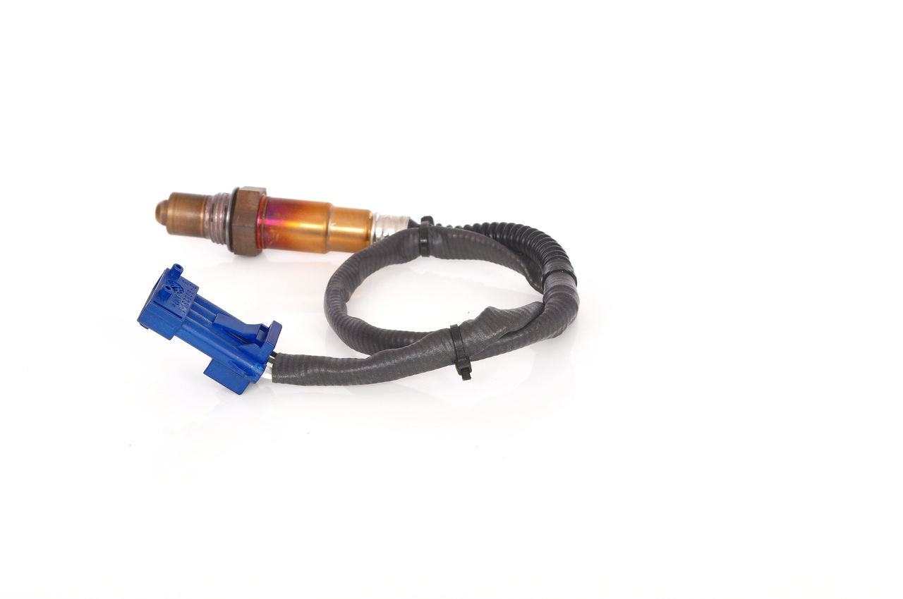 0258006185ph07whco0000