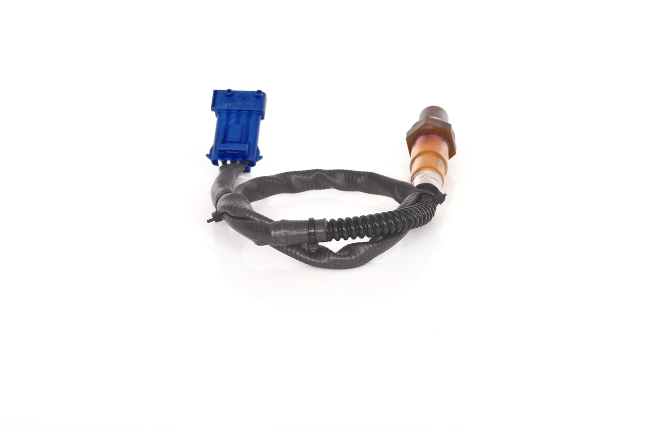 0258006185ph13whco0000