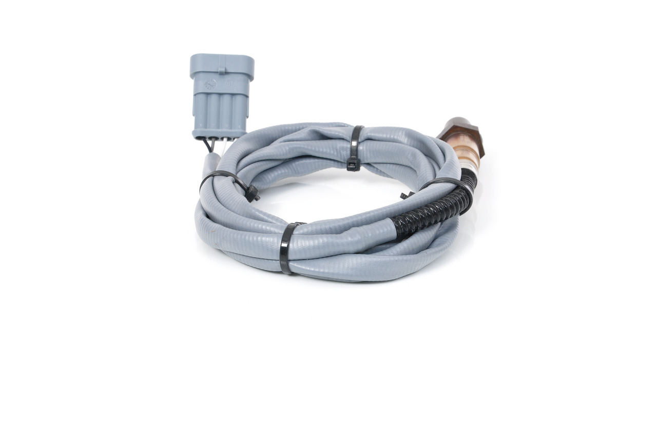 0258006391ph13whco0000