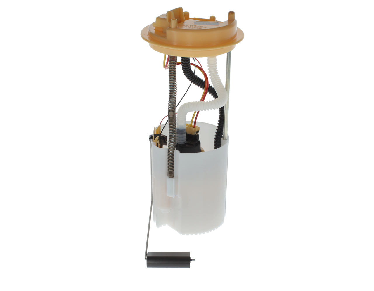 0580203423ph07whco0000