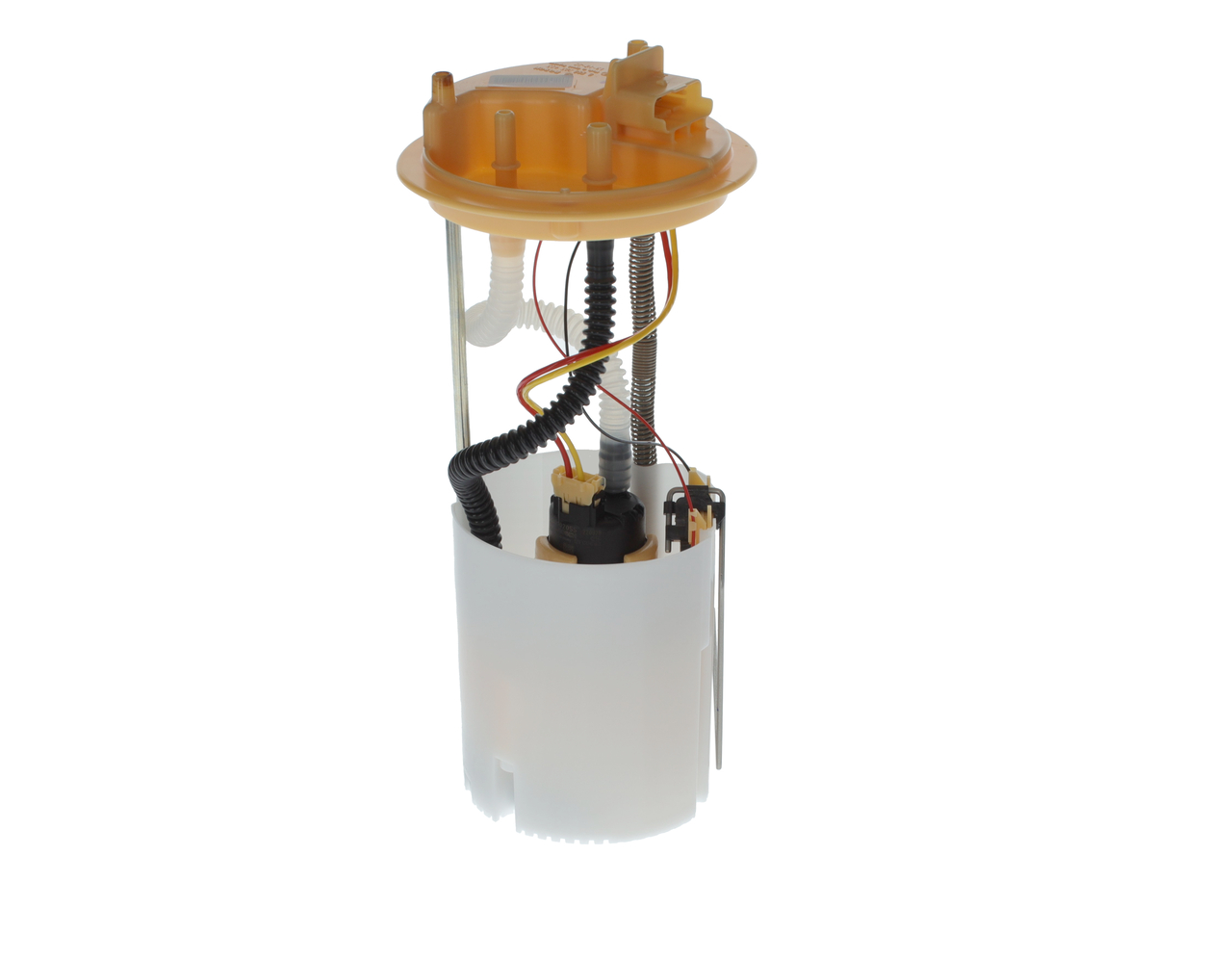 0580203423ph19whco0000