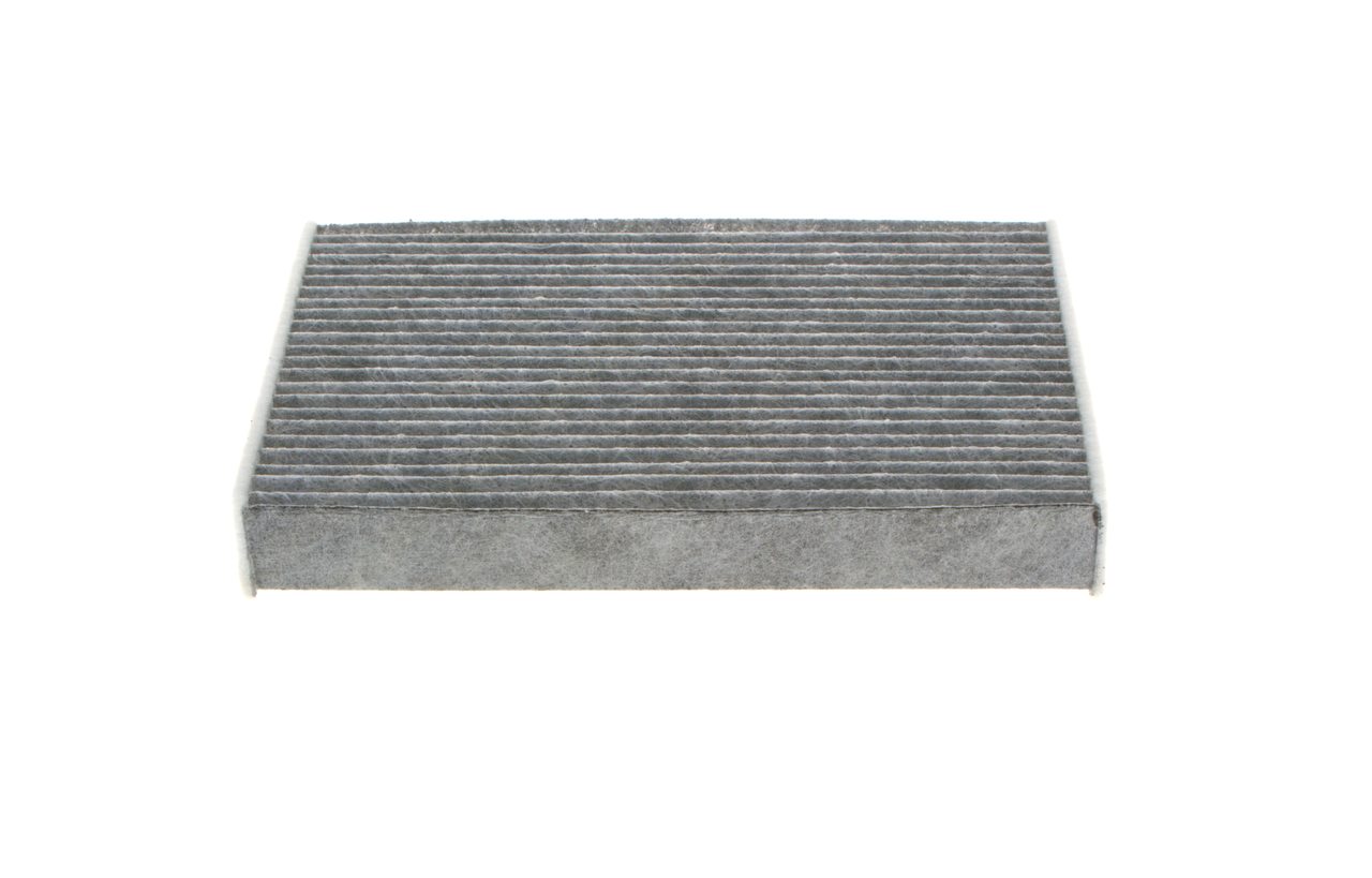 1987435556ph19whco0000