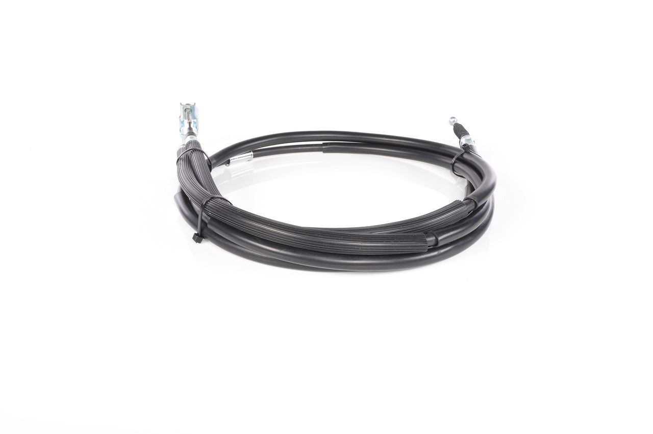 1987477163ph13whco0000