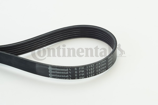 beltpic_6pk1157%20extra
