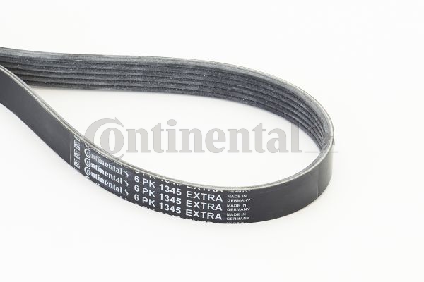beltpic_6pk1345%20extra