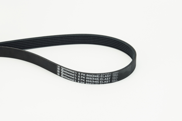 beltpic_6pk868%20elast