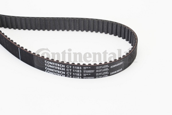 beltpic_ct1183